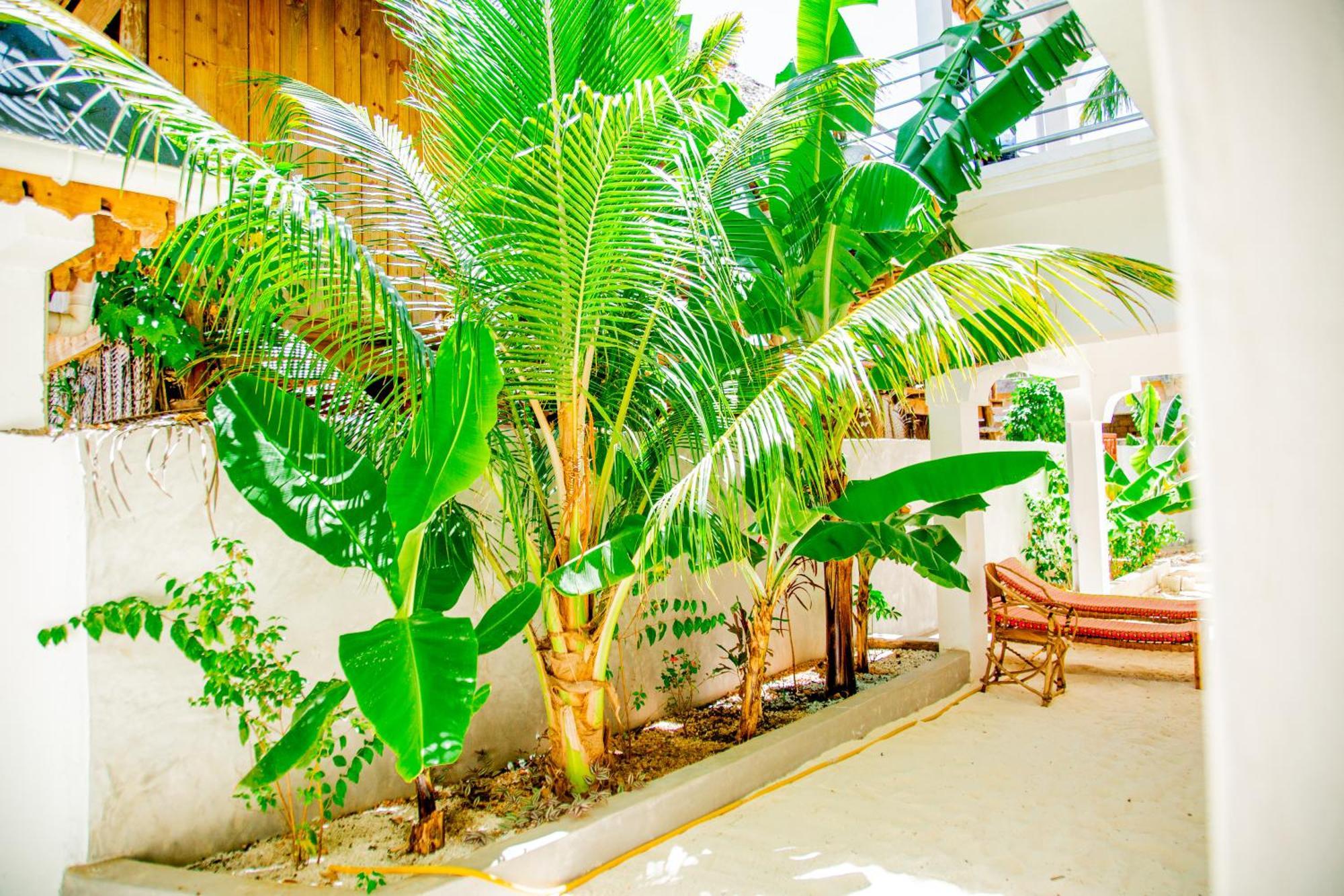 Pamoja Beach Stays Hotel In Jambiani Jambiani  Zewnętrze zdjęcie